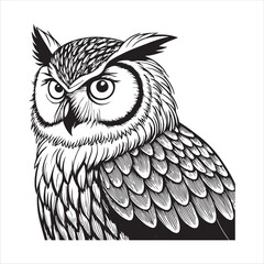 Owl Vector 