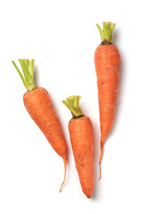close-up of three raw orange carrots isolated white background, freshly harvested crunchy and healthy root vegetable taken straight from above