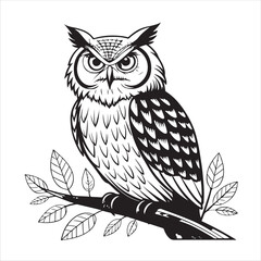 Owl Vector 