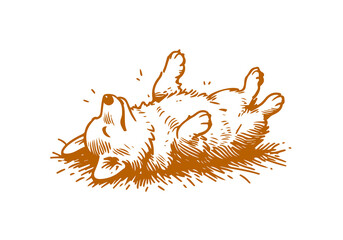 Corgi Dog Hand Drawn Illustration Sketch Vector Isolated for Graphic Resource