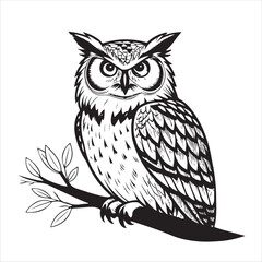 Owl Vector 