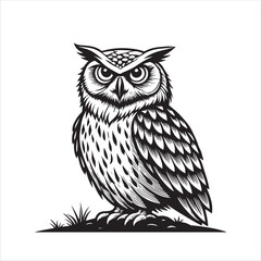 Owl Vector 