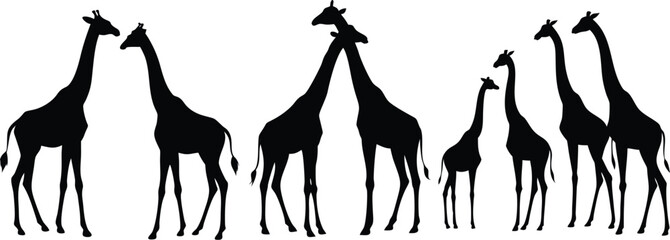 Giraffe Silhouettes Vector Collection &ndash; Tall Wild Animal Outlines