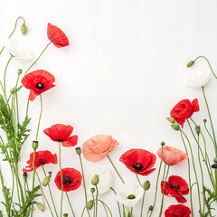 Obraz premium This in the same style in bright natural colors creates a bold floral impression – clean white background framed by vibrant red and white poppies