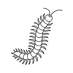 centipede icon, centipede vector illustration-simple illustration of centipede, perfect for centipede logos and icons