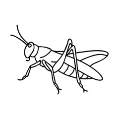 grasshopper icon, grasshopper vector illustration-simple illustration of grasshopper, perfect for grasshopper logos and icons