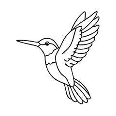 Fototapeta premium hummingbird icon, hummingbird vector illustration-simple illustration of hummingbird, perfect for hummingbird logos and icons