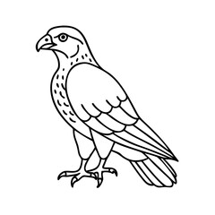 falcon icon, falcon vector illustration-simple illustration of falcon, perfect for falcon logos and icons