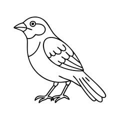 sparrow icon, sparrow vector illustration-simple illustration of sparrow, perfect for sparrow logos and icons
