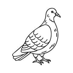 pigeon icon, pigeon vector illustration-simple illustration of pigeon, perfect for pigeon logos and icons