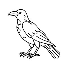 crow icon, crow vector illustration-simple illustration of crow, perfect for crow logos and icons