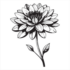 Flower Vector