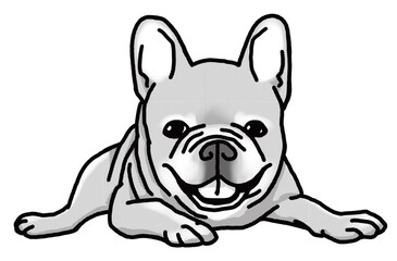 フレンチブルドッグ　french bulldog　犬のイラスト