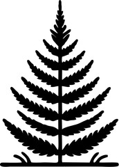 vector fern leaf drawing illustration