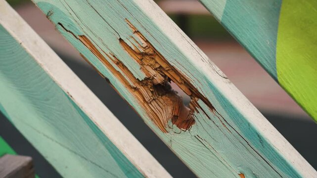 Detailed Close-Up of a Gunshot Impact on Wood 