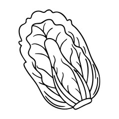 napa cabbage icon, napa cabbage vector illustration-simple illustration of napa cabbage, perfect for napa cabbage logos and icons