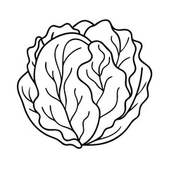 iceberg lettuce icon, iceberg lettuce vector illustration-simple illustration of iceberg lettuce, perfect for iceberg lettuce logos and icons