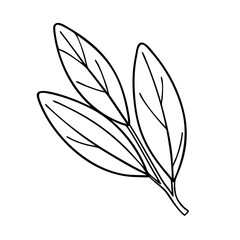 sage leaf icon, sage leaf vector illustration-simple illustration of sage leaf, perfect for sage leaf logos and icons