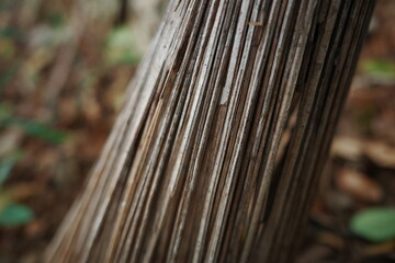 close up of a wooden fence