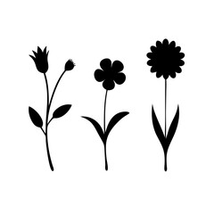 Flower icons set isolated on transparent background. Silhouettes spring flower icon set. Garden plants illustration sign collection. Beautiful symbol.
