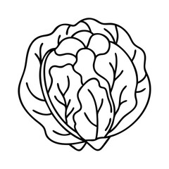 radicchio icon, radicchio vector illustration-simple illustration of radicchio, perfect for radicchio logos and icons