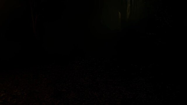 Screamer in the forest: creepy jumpscare sequence with eerie shadows and ghostly figure