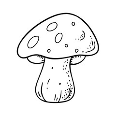 white mushroom icon, white mushroom vector illustration-simple illustration of white mushroom, perfect for white mushroom logos and icons