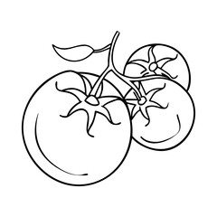 cherry tomato icon, cherry tomato vector illustration-simple illustration of cherry tomato, perfect for cherry tomato logos and icons