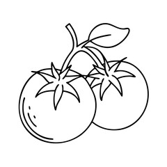 cherry tomato icon, cherry tomato vector illustration-simple illustration of cherry tomato, perfect for cherry tomato logos and icons