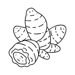 jerusalem artichoke icon, jerusalem artichoke vector illustration-simple illustration of jerusalem artichoke, perfect for jerusalem artichoke logos and icons