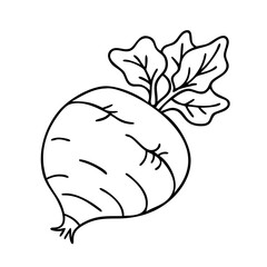 rutabaga icon, rutabaga vector illustration-simple illustration of rutabaga, perfect for rutabaga logos and icons