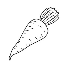 parsnip icon, parsnip vector illustration-simple illustration of parsnip, perfect for parsnip logos and icons