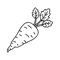 parsnip icon, parsnip vector illustration-simple illustration of parsnip, perfect for parsnip logos and icons