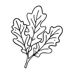 arugula icon, arugula vector illustration-simple illustration of arugula, perfect for arugula logos and icons