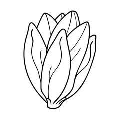 endive icon, endive vector illustration-simple illustration of endive, perfect for endive logos and icons