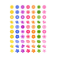 Flowers, Beautiful romantic flower collection with roses, leaves, floral bouquets, flower compositions
