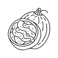 spaghetti squash icon, spaghetti squash vector illustration-simple illustration of spaghetti squash, perfect for spaghetti squash logos and icons