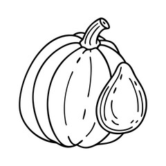 acorn squash icon, acorn squash vector illustration-simple illustration of acorn squash, perfect for acorn squash logos and icons