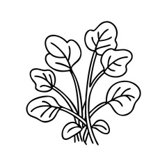Fototapeta premium watercress icon, watercress vector illustration-simple illustration of watercress, perfect for watercress logos and icons