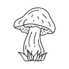 mushroom icon, mushroom vector illustration-simple illustration of mushroom, perfect for mushroom logos and icons