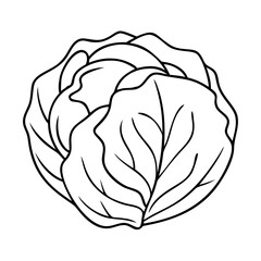 cabbage icon, cabbage vector illustration-simple illustration of cabbage, perfect for cabbage logos and icons