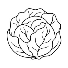 cabbage icon, cabbage vector illustration-simple illustration of cabbage, perfect for cabbage logos and icons