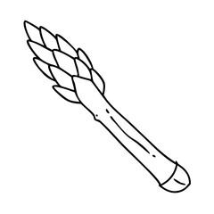 asparagus spear icon, asparagus spear vector illustration-simple illustration of asparagus spear, perfect for asparagus spear logos and icons