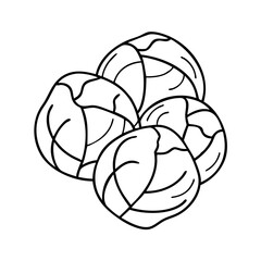 brussels sprouts icon, brussels sprouts vector illustration-simple illustration of brussels sprouts, perfect for brussels sprouts logos and icons