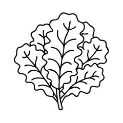 kale icon, kale vector illustration-simple illustration of kale, perfect for kale logos and icons