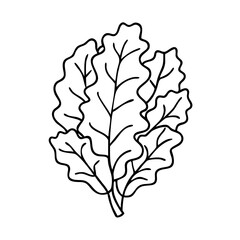 Fototapeta premium kale icon, kale vector illustration-simple illustration of kale, perfect for kale logos and icons