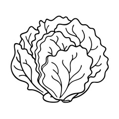 lettuce head icon, lettuce head vector illustration-simple illustration of lettuce head, perfect for lettuce head logos and icons