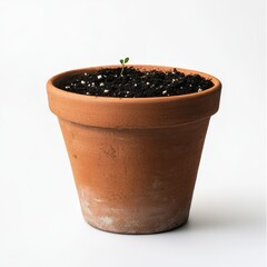 A small seedling sprouting in a terracotta pot filled with soil isoleted on white background