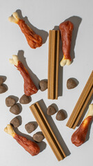 Assorted dog treats including chicken bones and chew sticks, pet care essentials, National Pet Day treats, healthy dog snacks