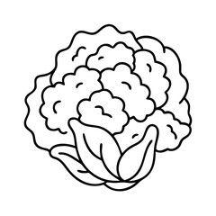 cauliflower icon, cauliflower vector illustration-simple illustration of cauliflower, perfect for cauliflower logos and icons